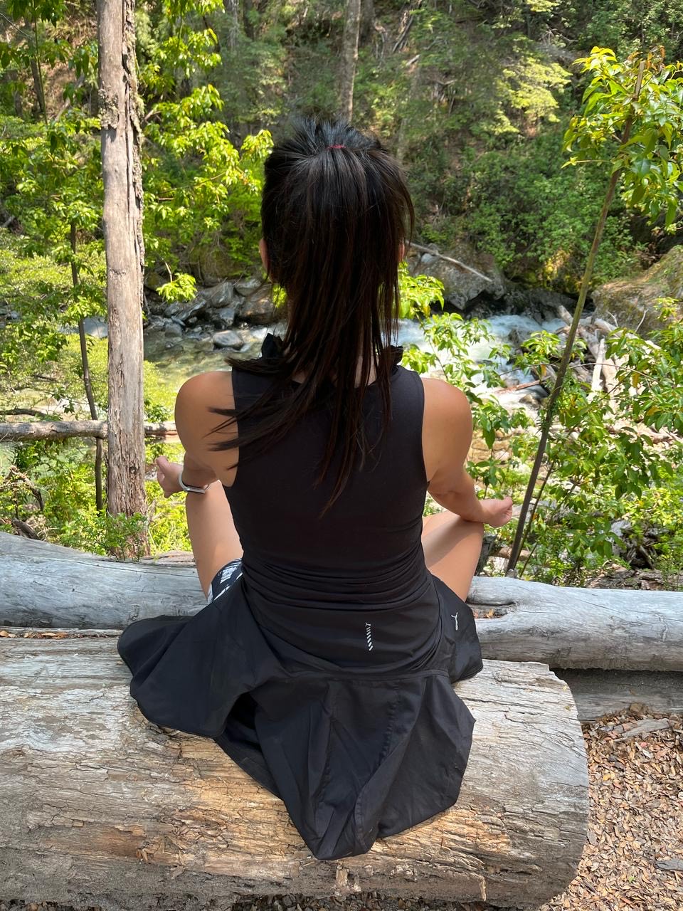 Naturaleza y meditación